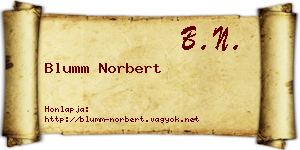 Blumm Norbert névjegykártya